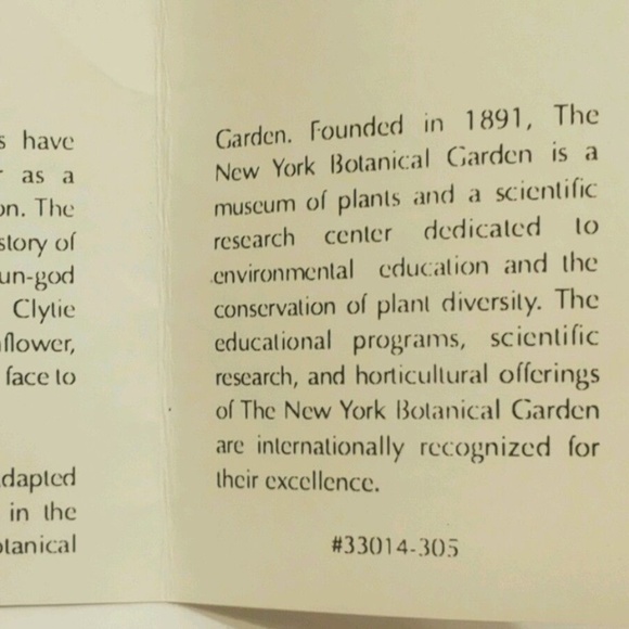 M Of Fine Arts Boston Vintage Signed MFA Sunflower - Picture 5 of 5